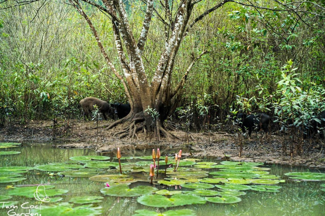 Tam Coc Garden Resort Νιν Μπιν Εξωτερικό φωτογραφία