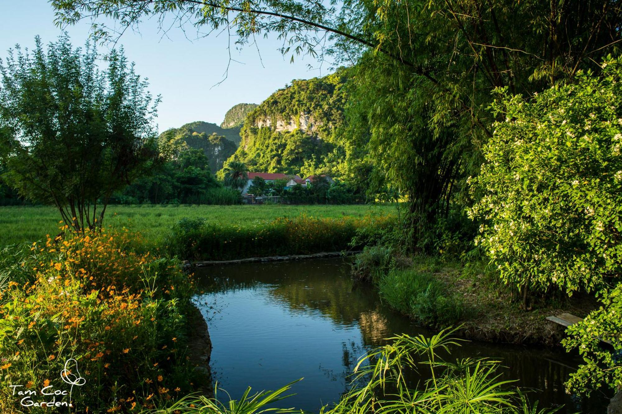 Tam Coc Garden Resort Νιν Μπιν Εξωτερικό φωτογραφία